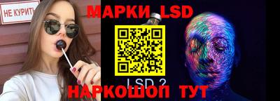шишки Тверь