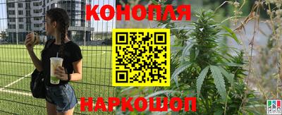 круглые Тара