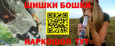 шишки Тверь