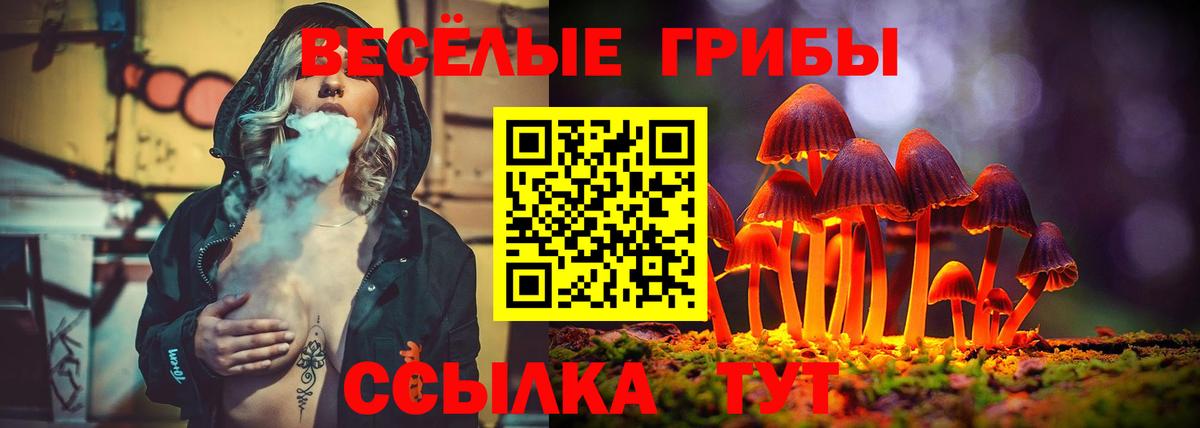 Новозыбков  Галлюциногенные грибы Cubensis  Псилоцибиновые грибы мухоморы  Вход с VPN 